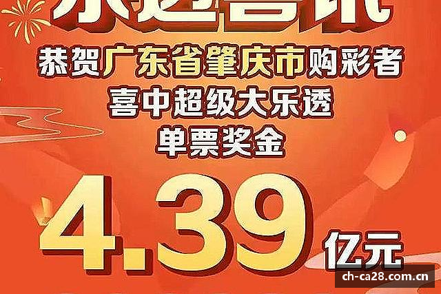 解读加拿大28